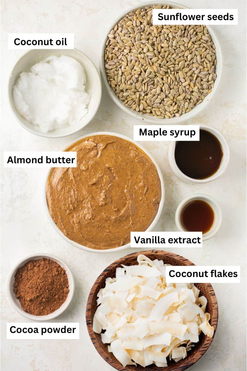Bowls filled with different ingredients including sunflower seeds, coconut oil, almond butter, maple syrup and coconut flakes.