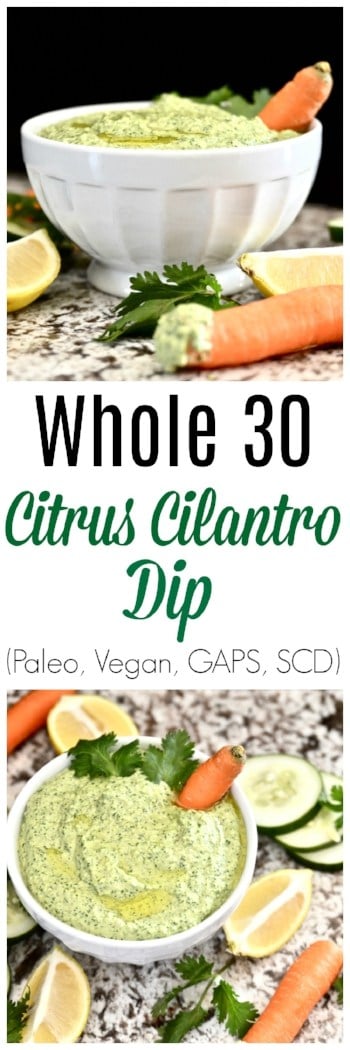 Whole30 Citrus, Cucumber and Cilantro Dip is going to become your new favourite Whole30 dip recipe. This Whole30 Citrus, Cucumber and Cilantro Dip is so easy to make and tastes amazing. Use this Whole30 Citrus, Cucumber and Cilantro Dip as a dip for raw vegetables, or to top your favourite meat or fish dish. #whole30 #dip #vegan #gaps #scd #paleo #citrus #dressing