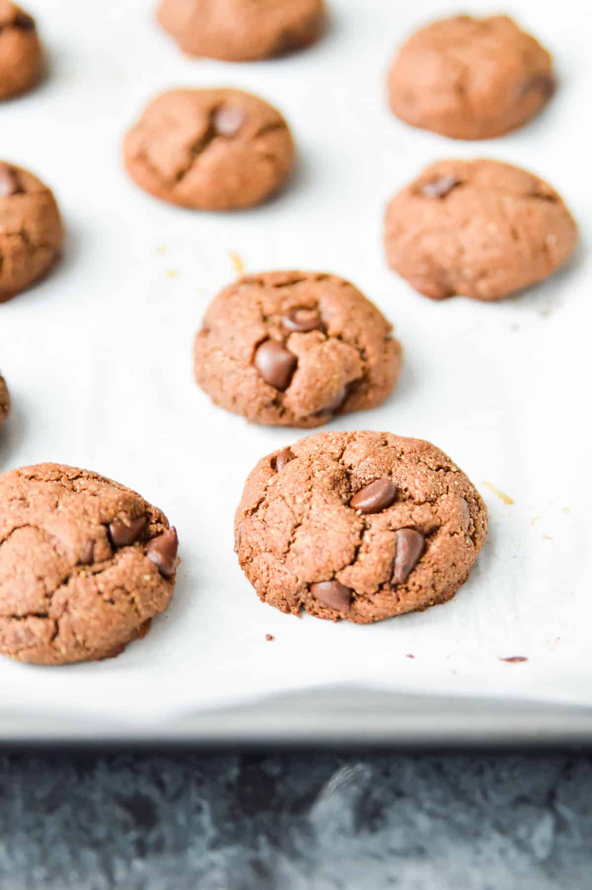 Paleo Double Chocolate Fudge Cookies. Do I even need to say more? These chocolate cookies make the perfect grain free treat. Pair these double chocolate cookies with a glass of dairy free milk and I can't think of anything better! #paleo #cookie #chocolate #glutenfree #dairyfree #fudge #chocolatechip
