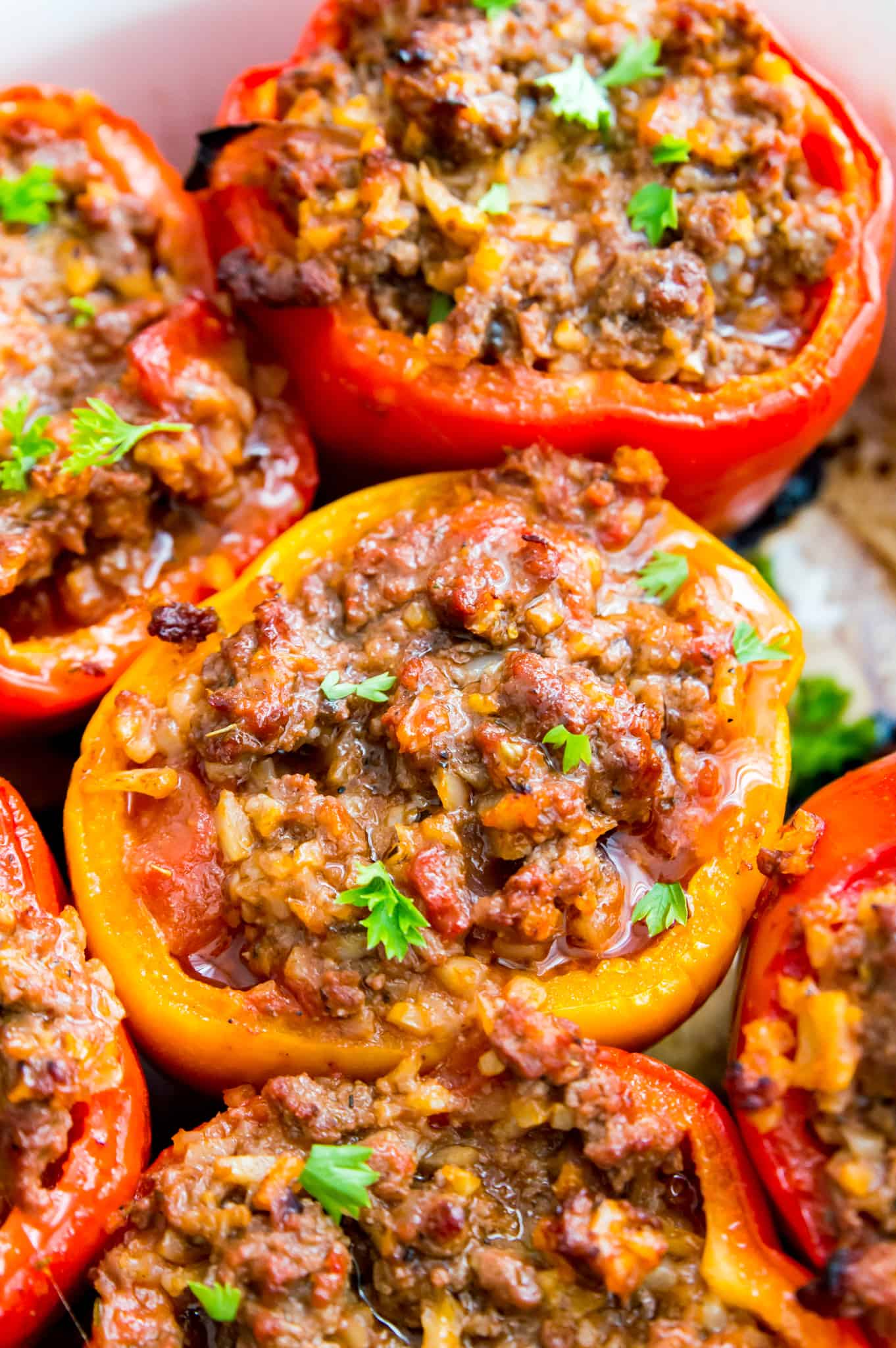 A pan of cooked stuffed peppers garnished with fresh cilantro