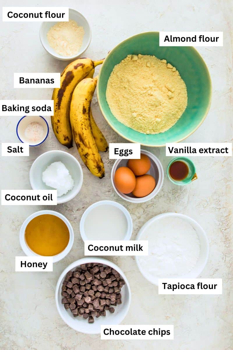 The ingredients needed to make gluten free chocolate chip banana bread separated into bowls including almond flour, bananas, eggs, honey, baking soda and chocolate chips.