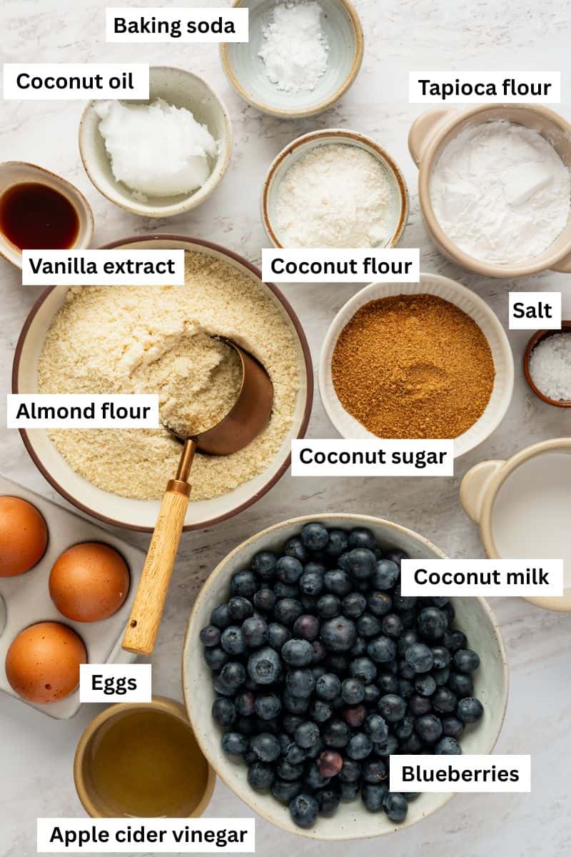 The ingredients for making blueberry muffins separated into bowls including blueberries, flour, eggs, milk and sugar.