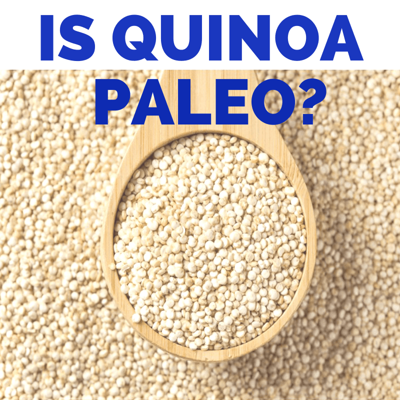 A spoonful of quinoa with the title "is quinoa paleo?"