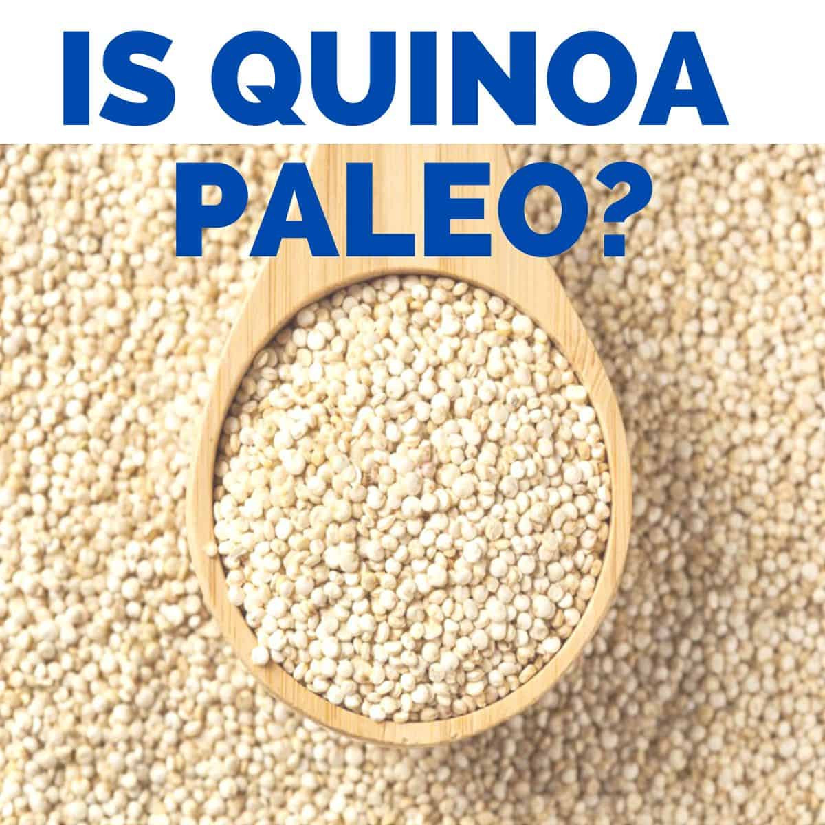 A wooden spoon filled with uncooked quinoa with the words Is Quinoa Paleo? above it.