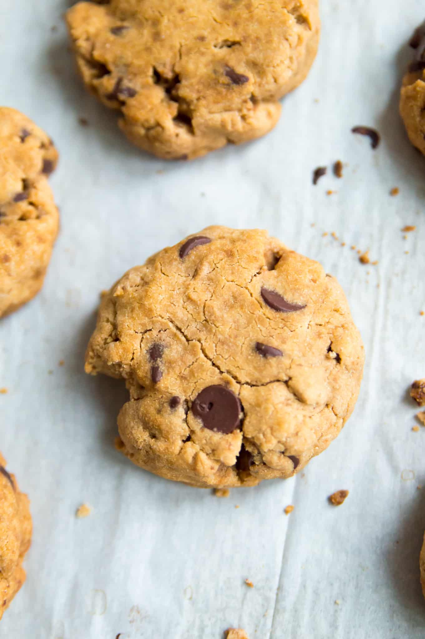 A tray full of cassava flour chocolate chip cookies.