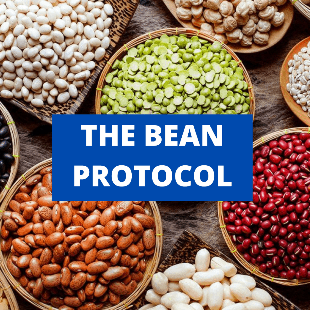 Bowls filled with different kinds of beans with the title "the bean protocol" written over top