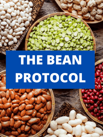 Bowls filled with different kinds of beans with the title "the bean protocol" written over top.