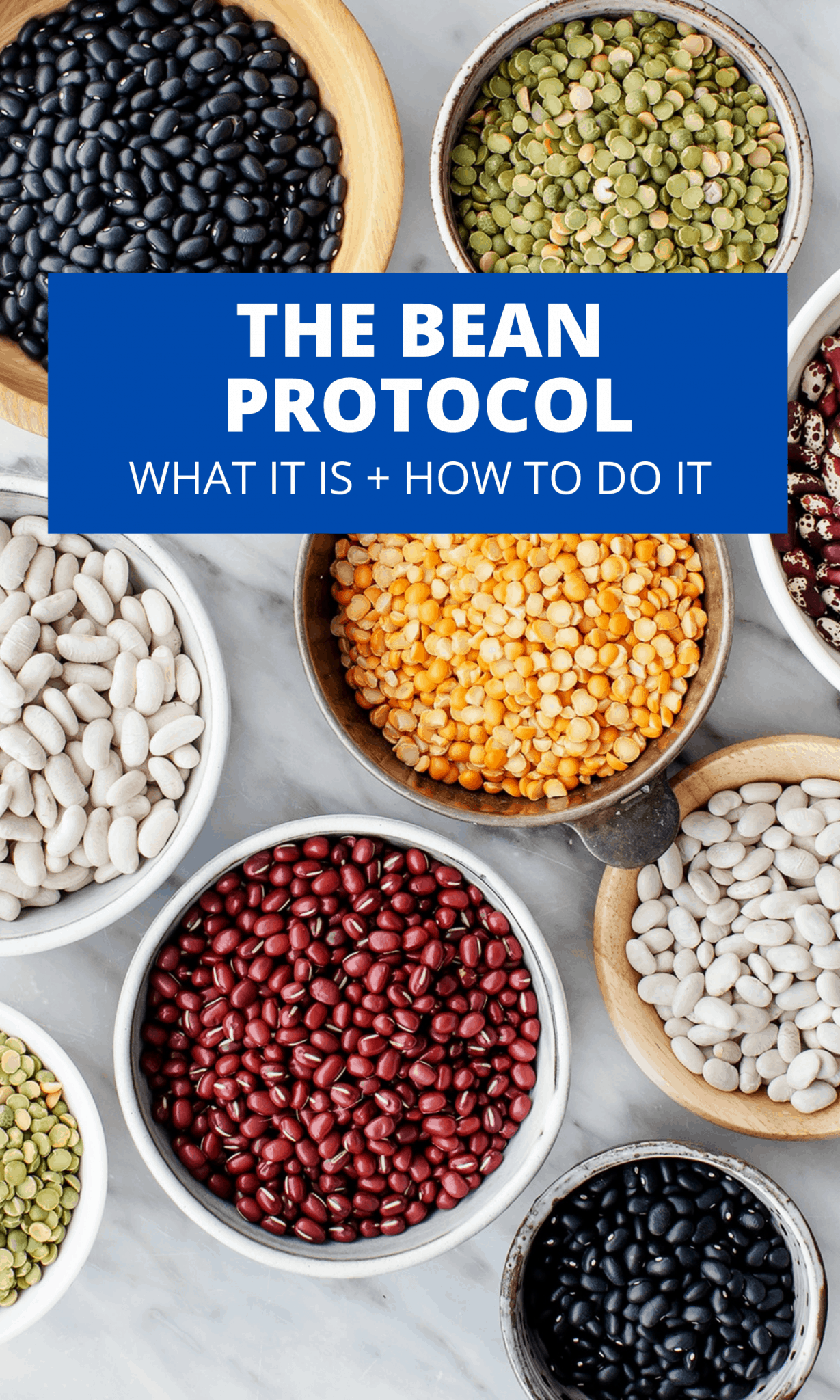 The Bean Protocol Pure and Simple Nourishment
