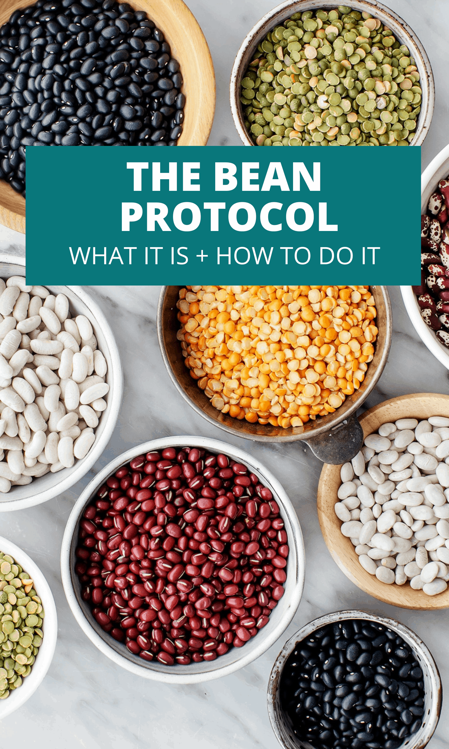 The Bean Protocol Review & My Experience Pure and Simple Nourishment
