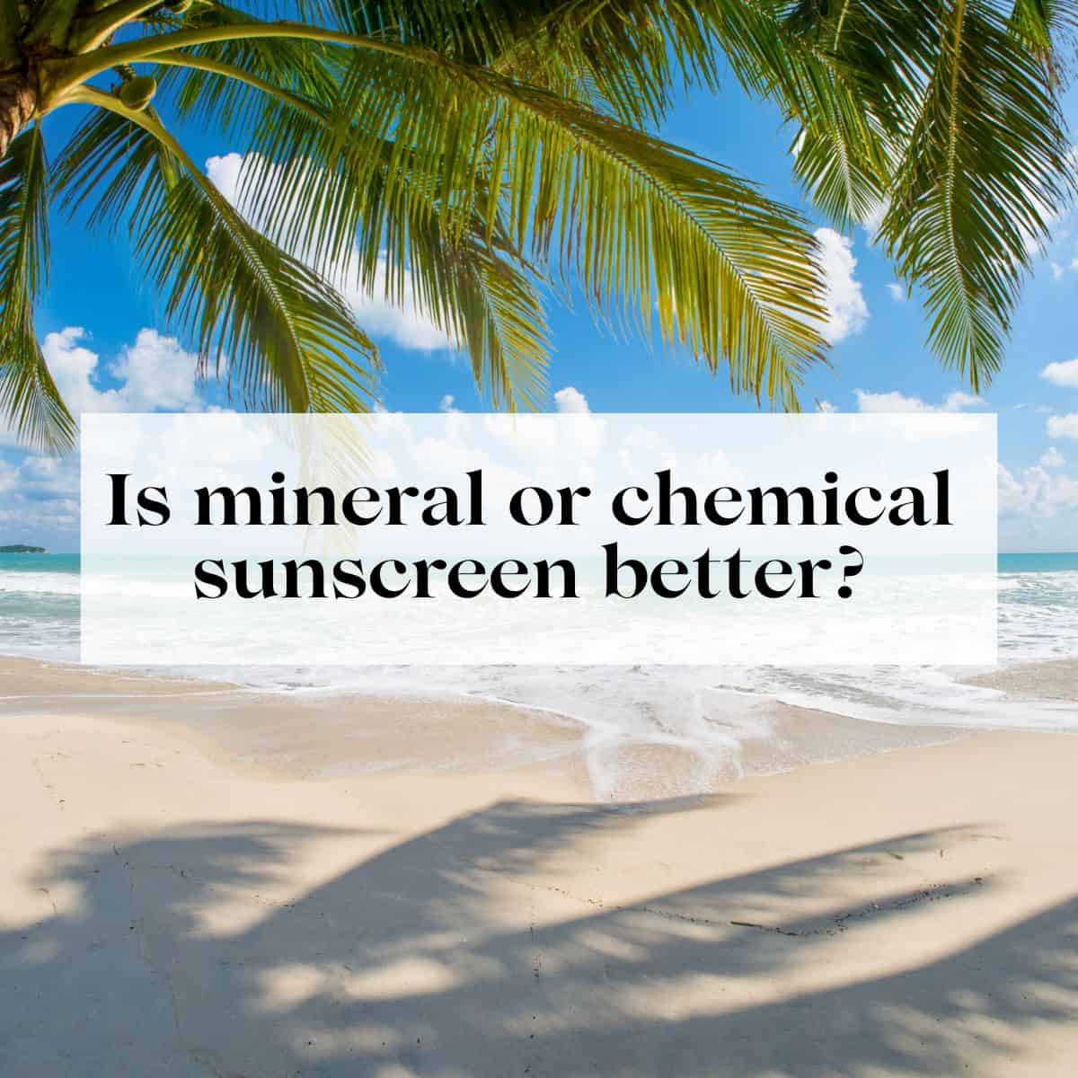 A beach with a palm tree on it and the title "is mineral or chemical sunscreen better?" over it.