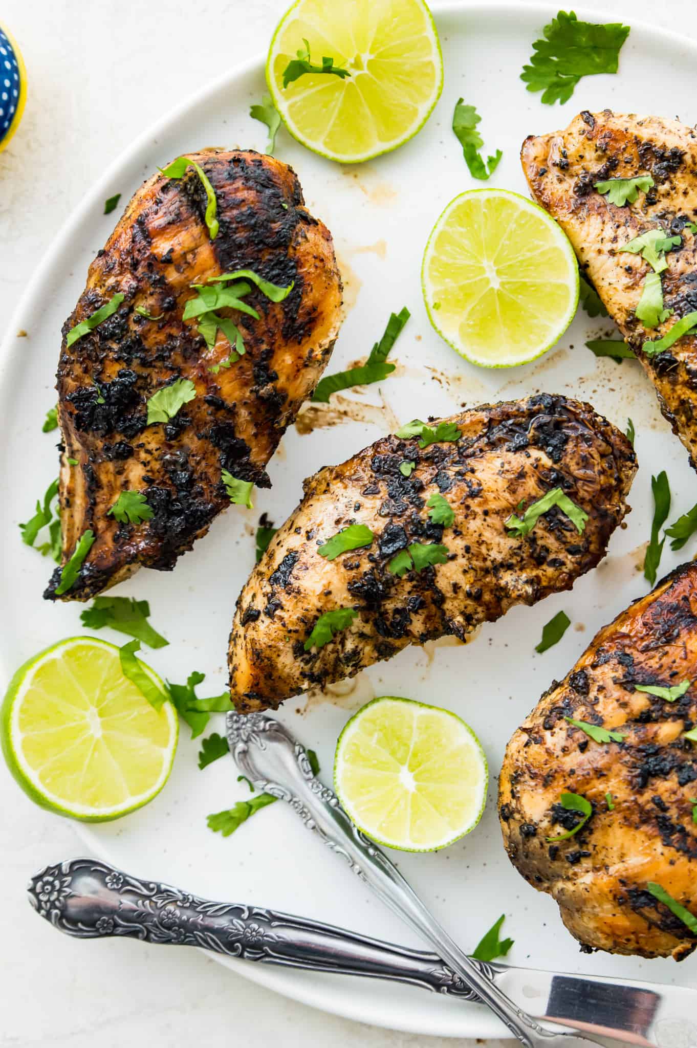 Grilled chicken breasts on a white plate garnished with limes and fresh cilantro.