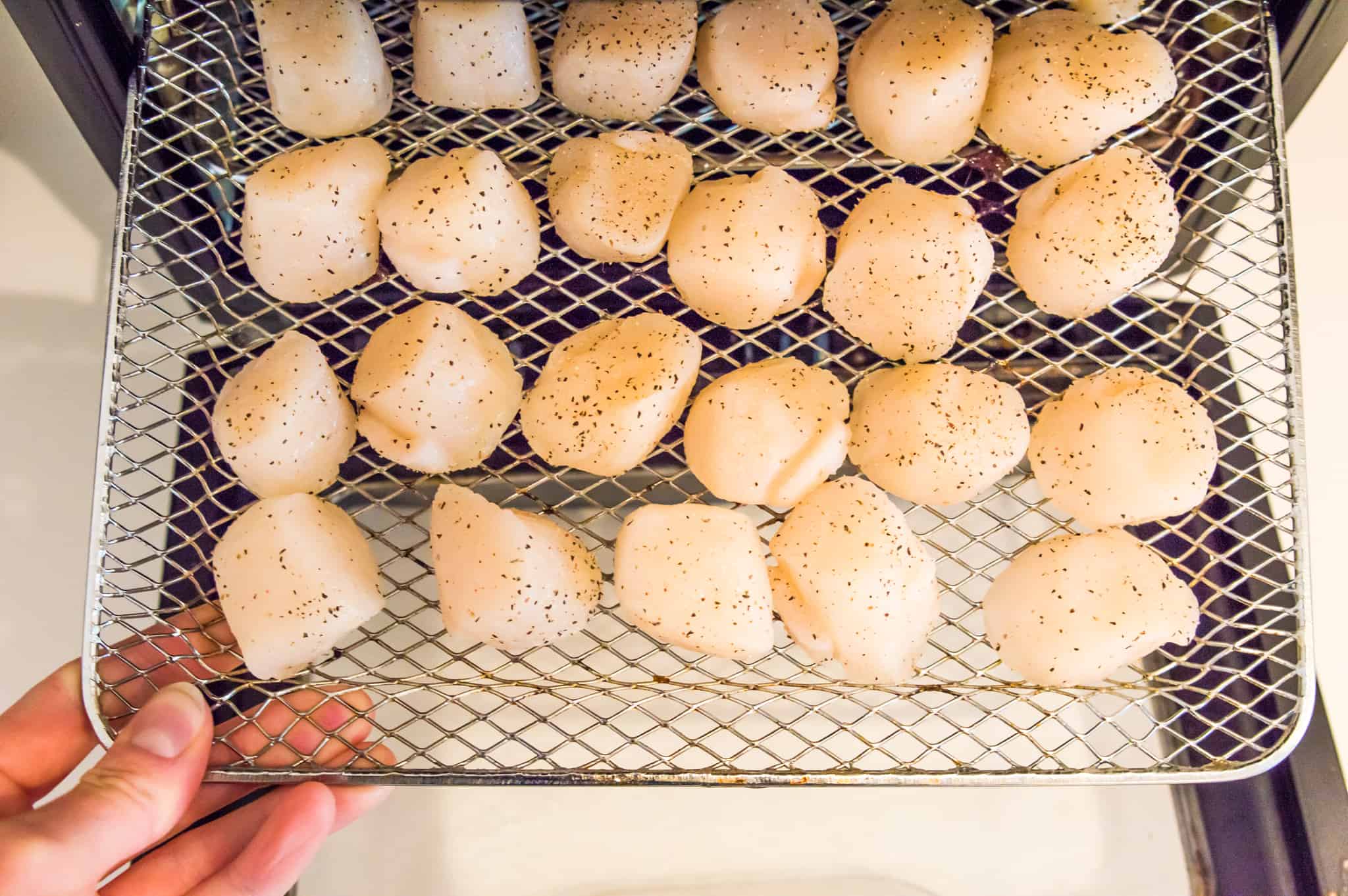 Scallops on an air fryer tray.