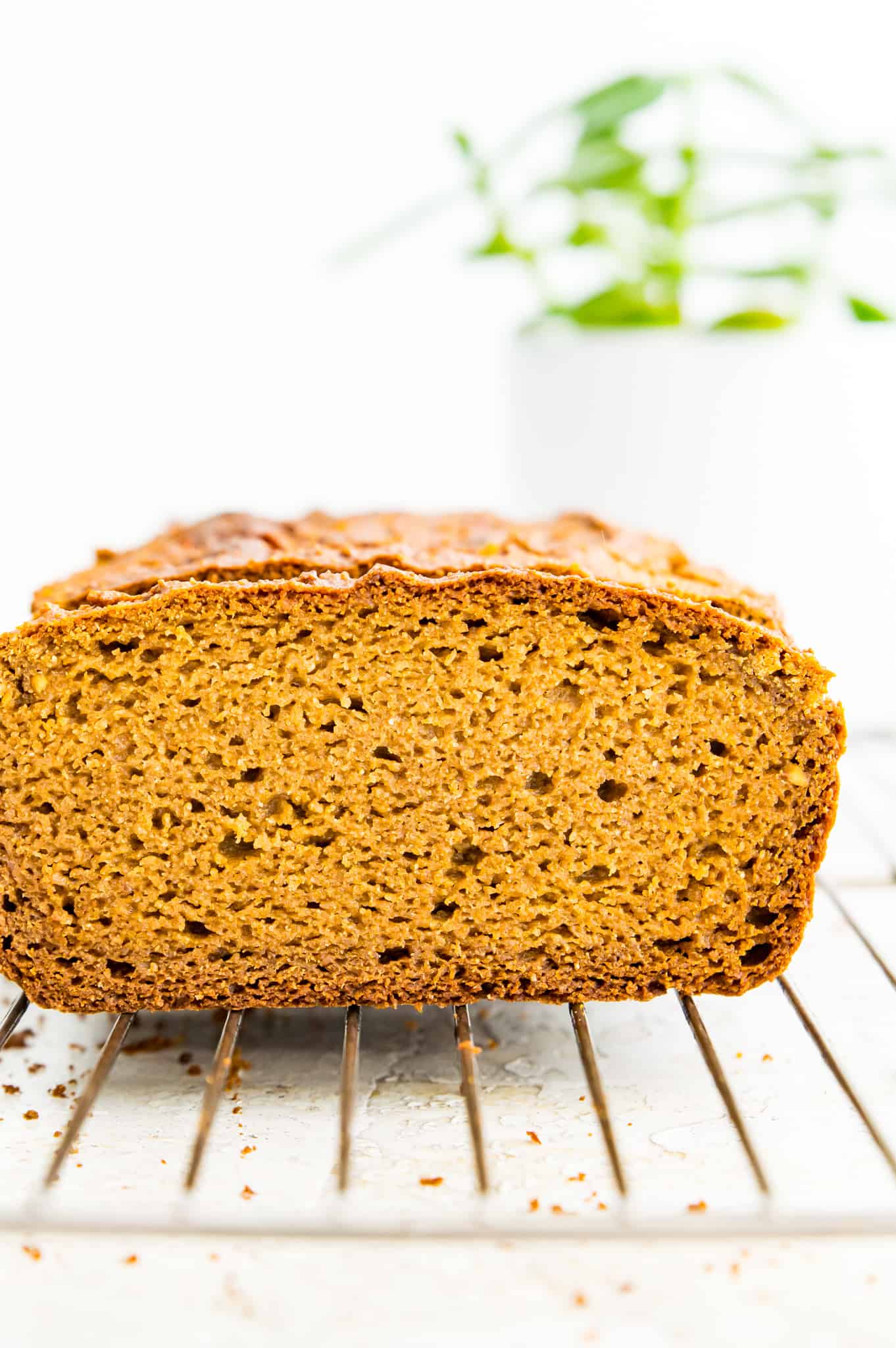 A slice of avocado bread on a baking rack.