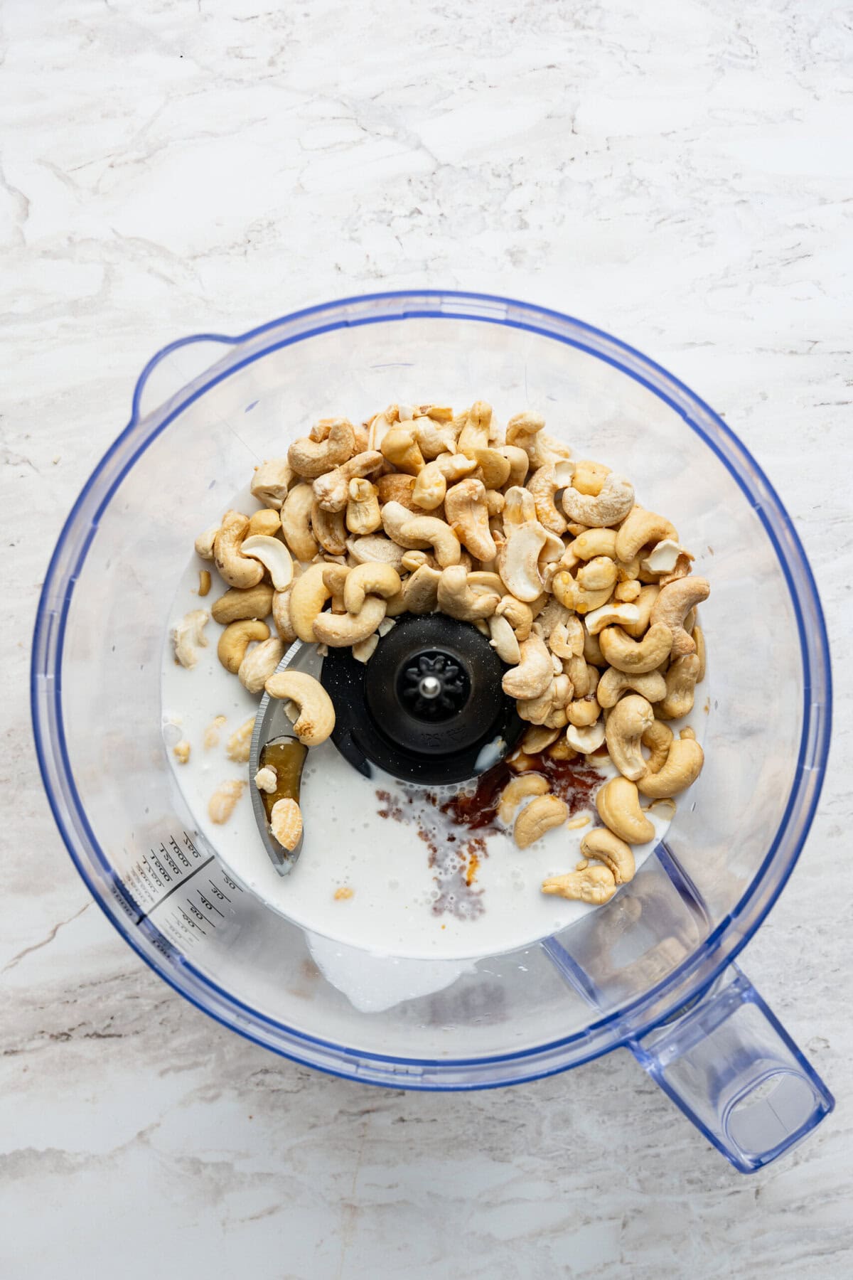 A blender with raw cashews and coconut milk in it.