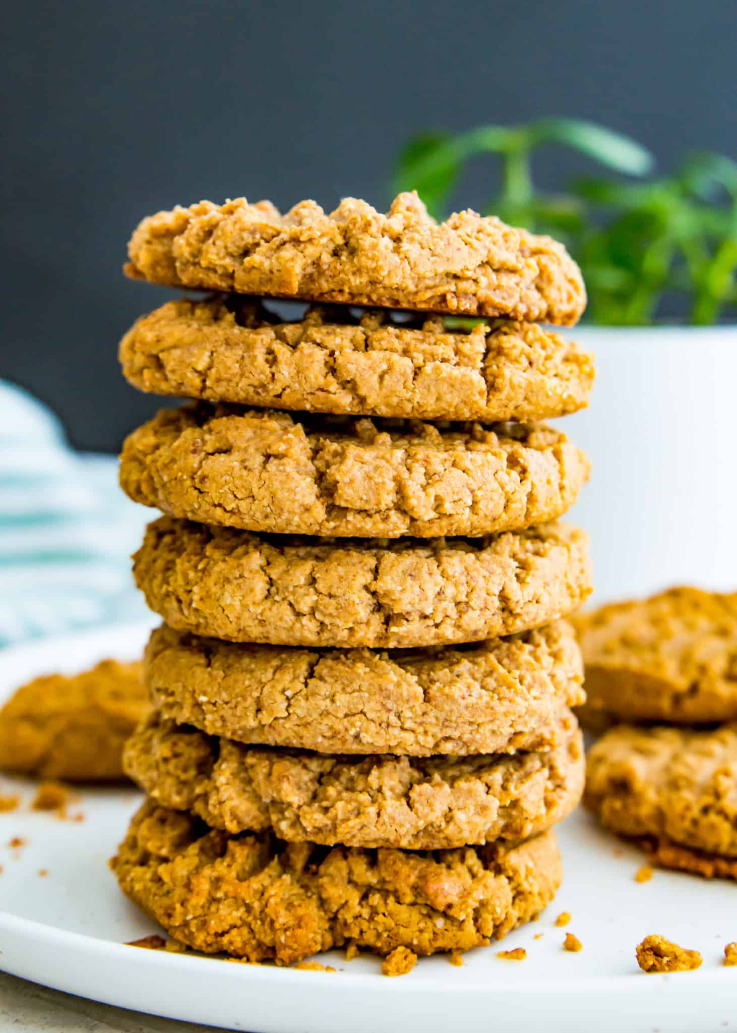 A stack of peanut butter cookies made with almond flour