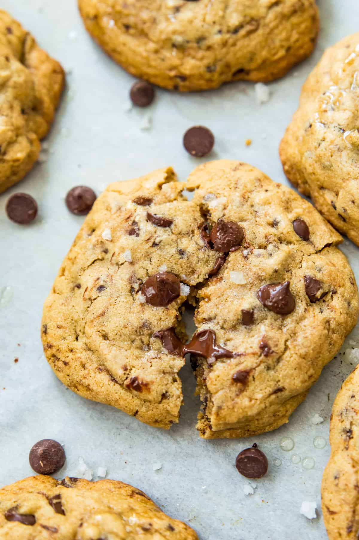 A batch of coffee cookies on a baking sheet surrounded by chocolate chips. 