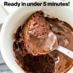 A chocolate mug cake with a spoon in it.