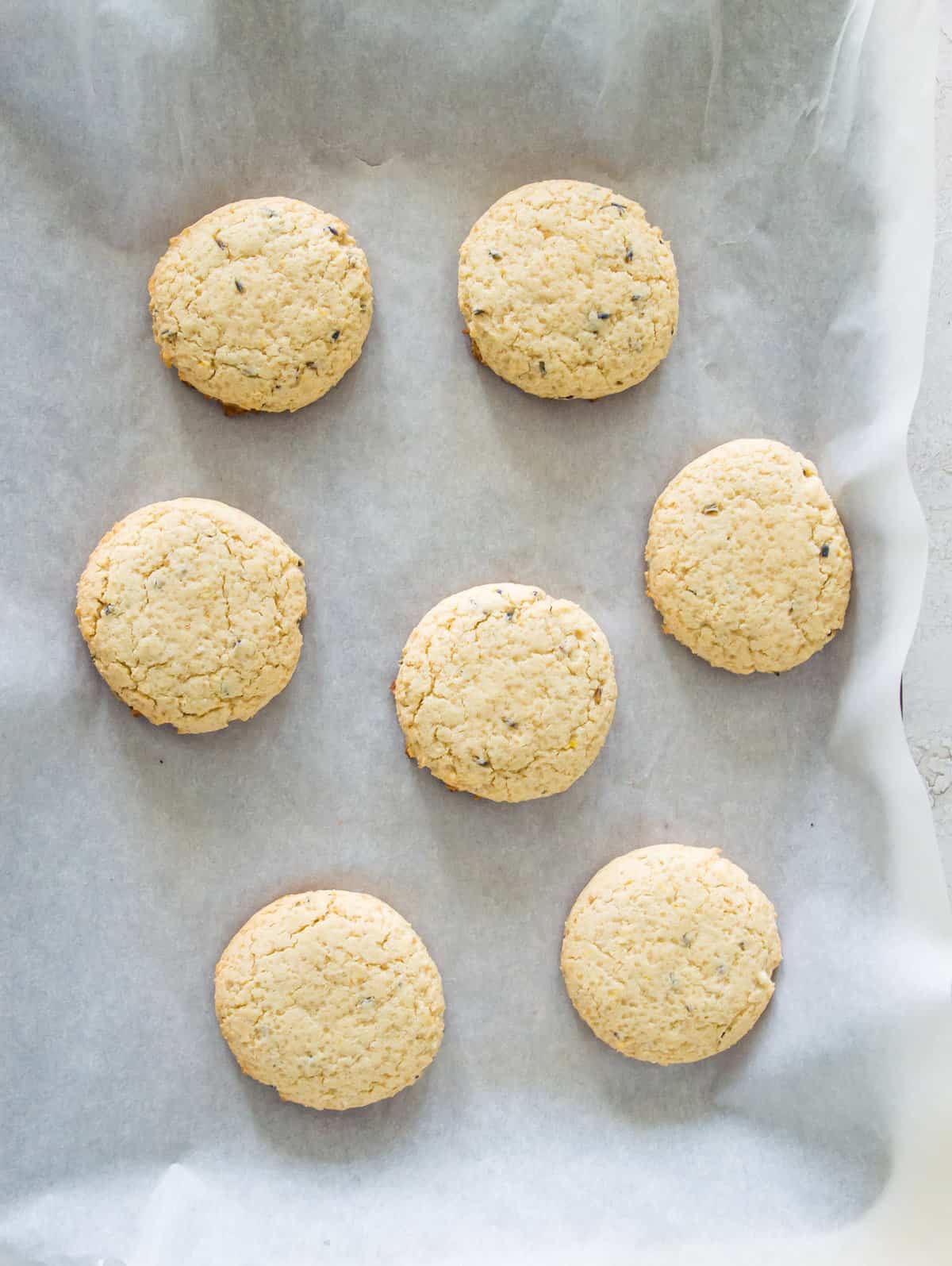A batch of cooked lemon lavender cookies on baking sheet lined with parchment paper. 