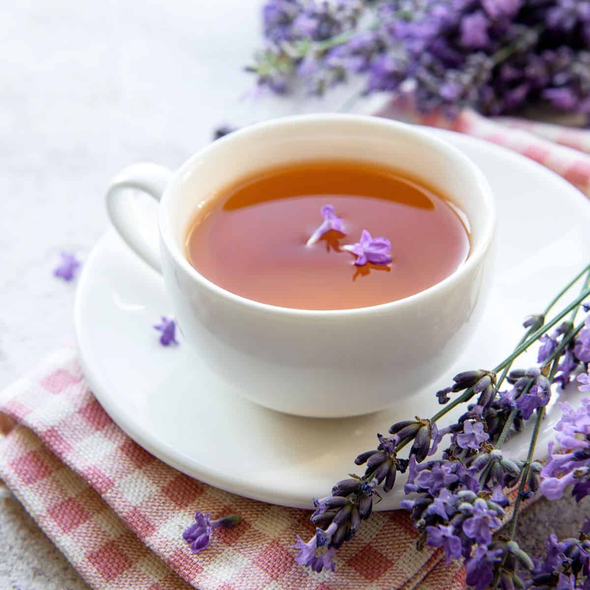A mug with lavender tea in it and topped with fresh lavender flowers. 
