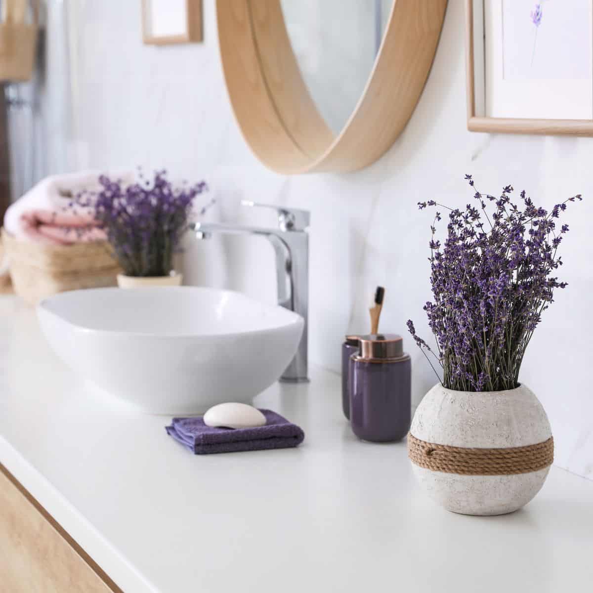 A bathroom counter with vases full of lavender on it.