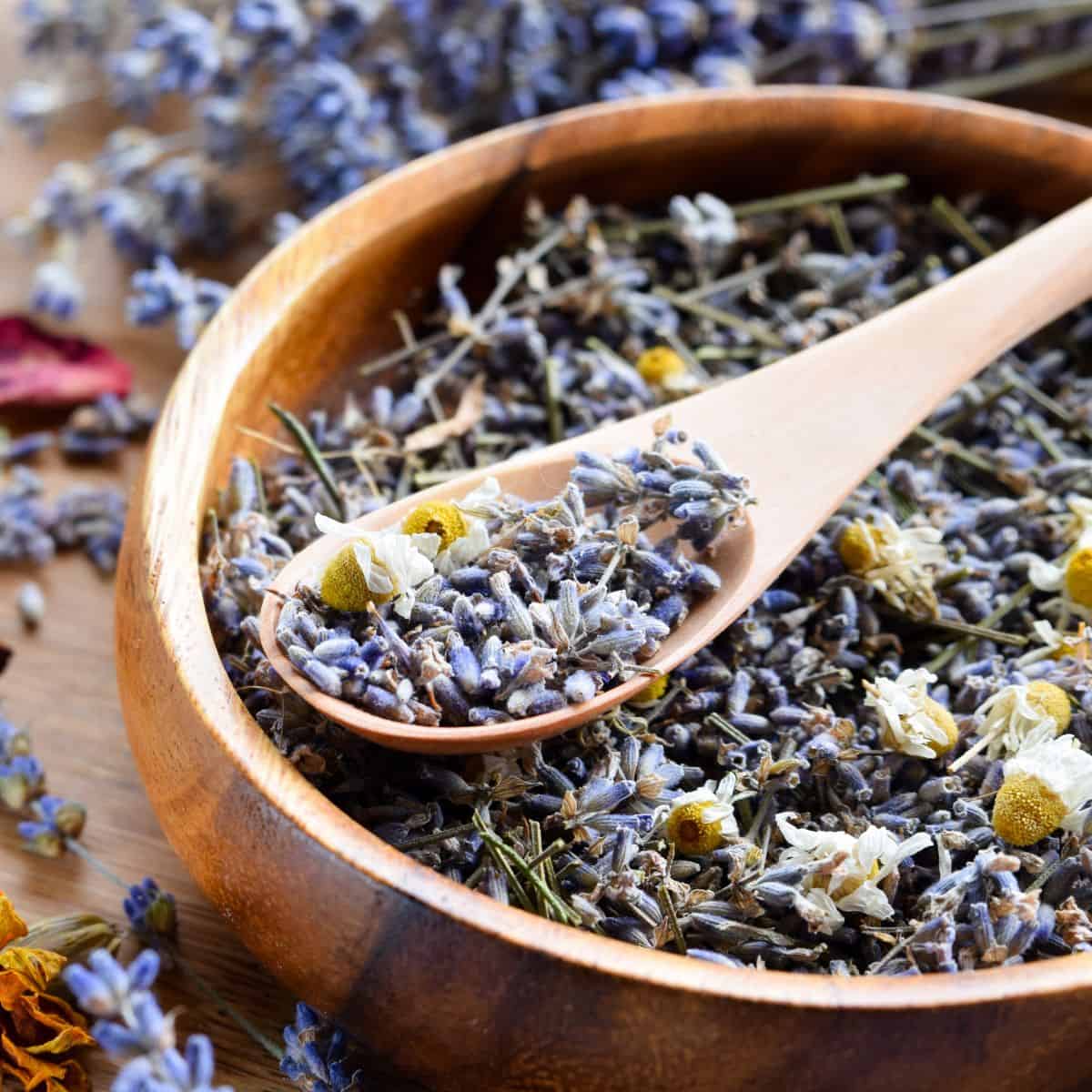 A bowl of lavender potpourri with a spoon in it.