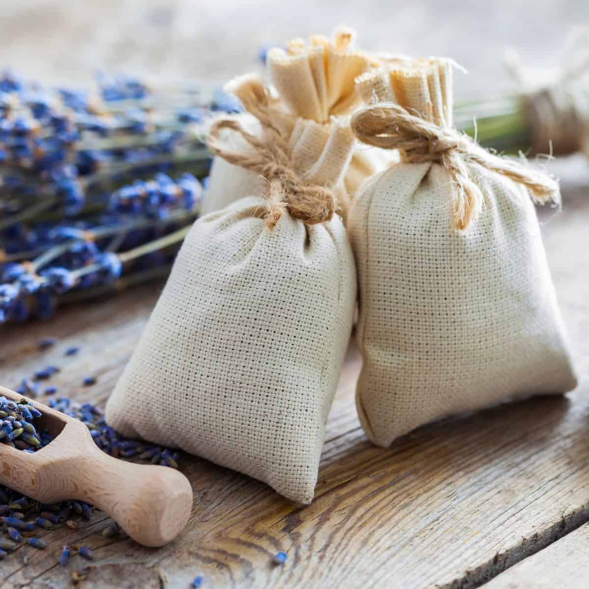 Small cloth bags that are tied with string and surrounded by lavender flowers. 