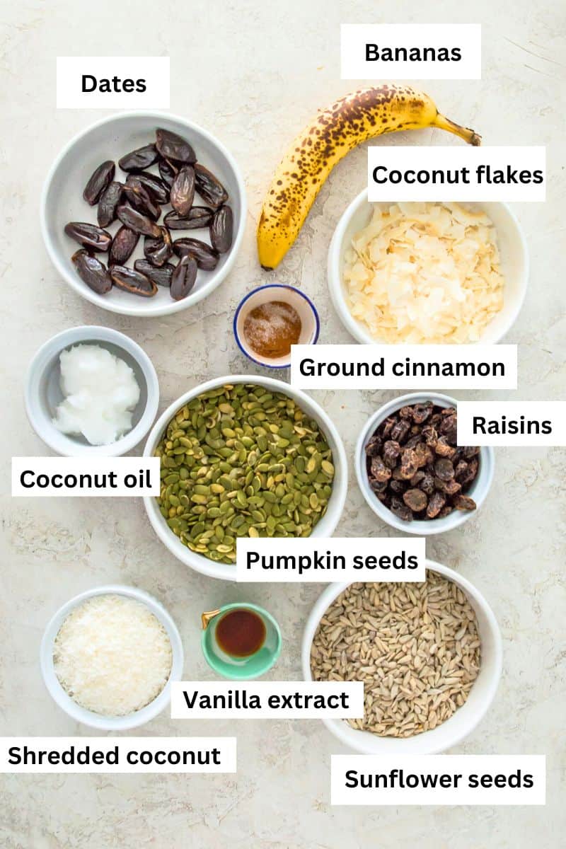 The ingredients needed to make a sugar free grain free granola separated into small bowls including sunflower seed, pumpkin seeds, coconut flakes, dates and raisins. 