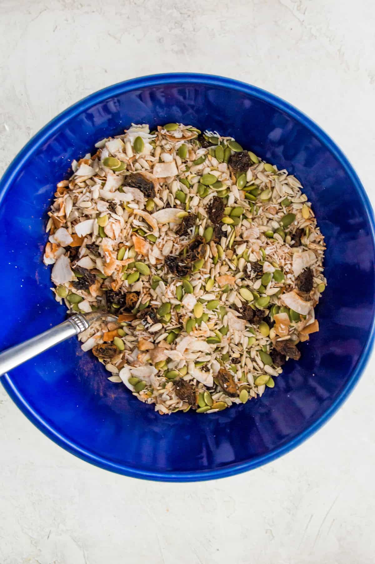 A large blue bowl with sunflower seeds, pumpkin seeds, raisins and coconut flakes mixed together. 