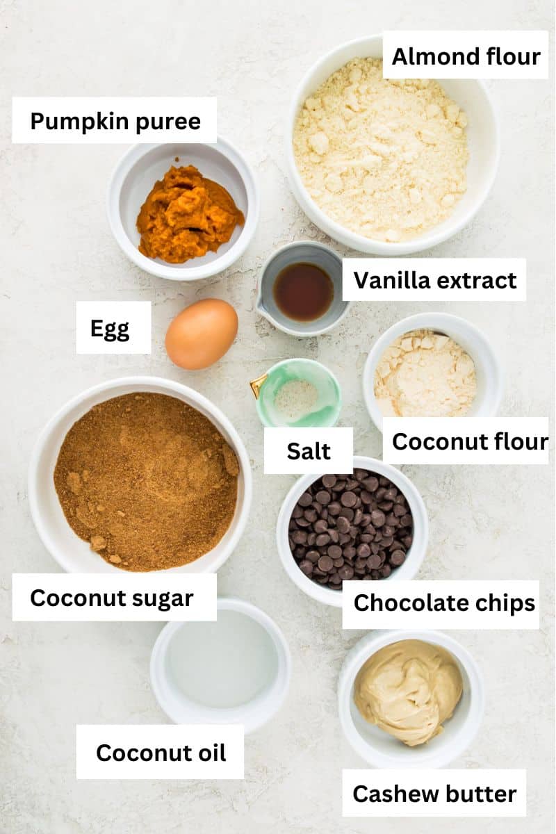 The ingredients needed to make pumpkin chocolate chip bars separated into small bowls including pumpkin puree, coconut sugar, almond flour, cashew flour, egg, chocolate chips and vanilla extract.