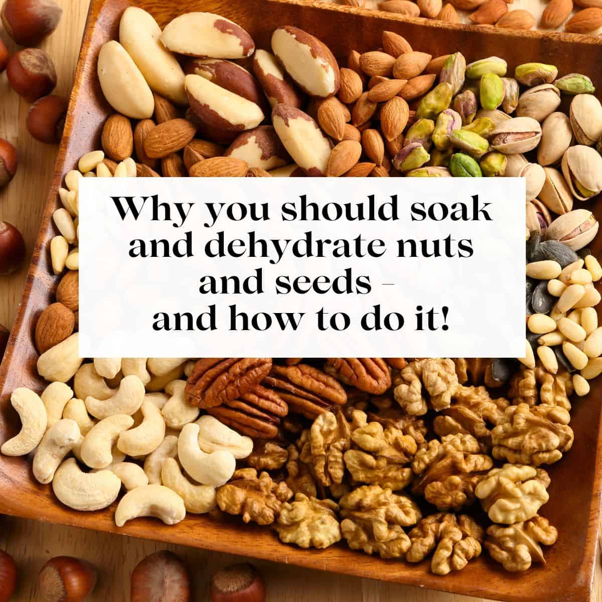 A wooden bowl with different kinds of nuts in it including pecans, walnuts, cashews and almonds with the title "why you should soak and dehydrate nuts and seeds" over them.
